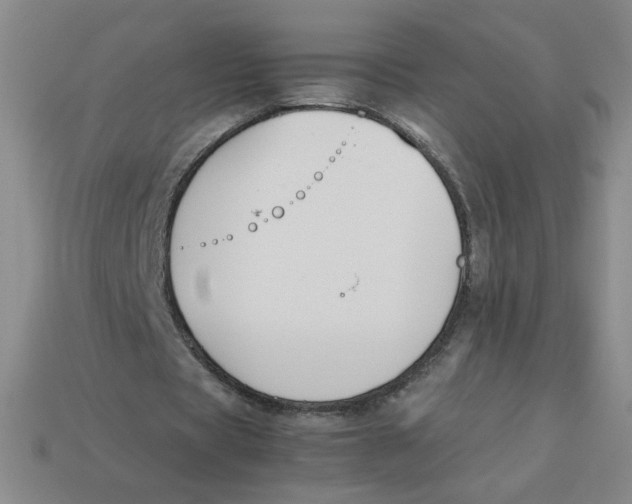 X0000113350529200910131241