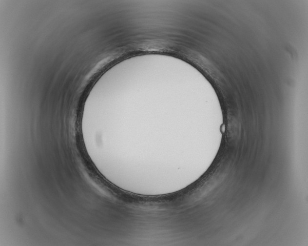 X0000113350530200910131241