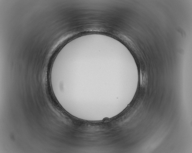 X0000113350531200910131241