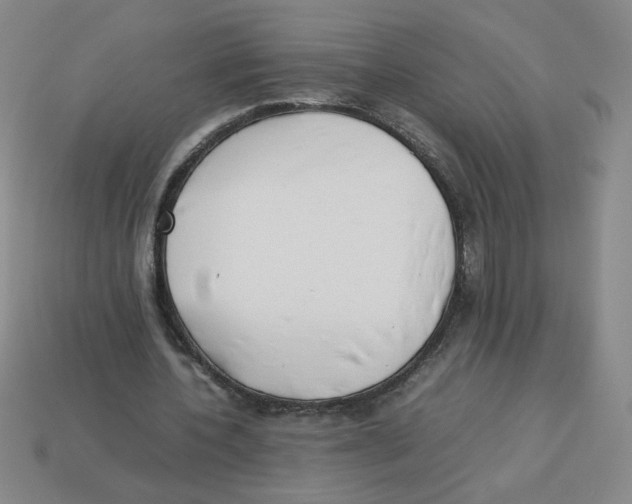 X0000113350532200910131241