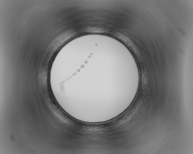 X0000113350533200910131241