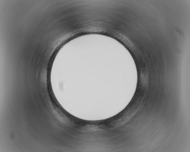 X0000113350534200910131241