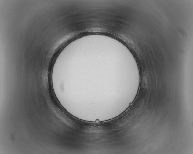 X0000113350535200910131241