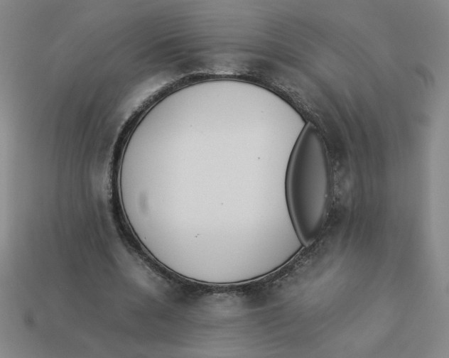 X0000113350536200910131241