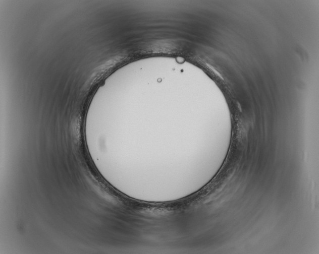 X0000113350537200910131241