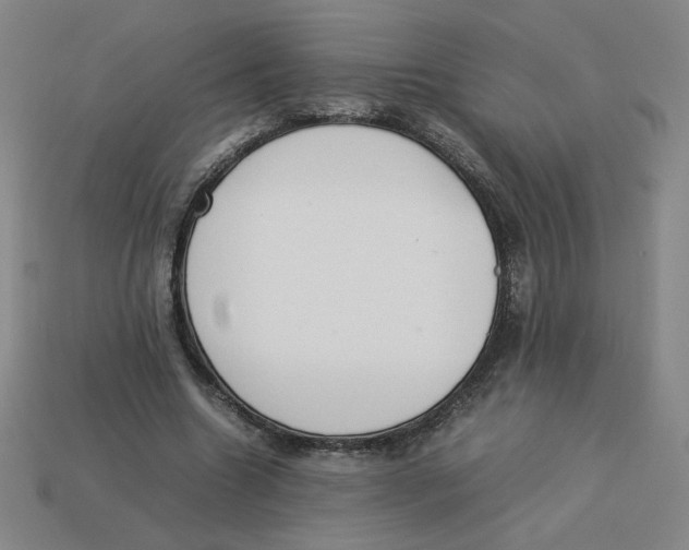 X0000113350538200910131241