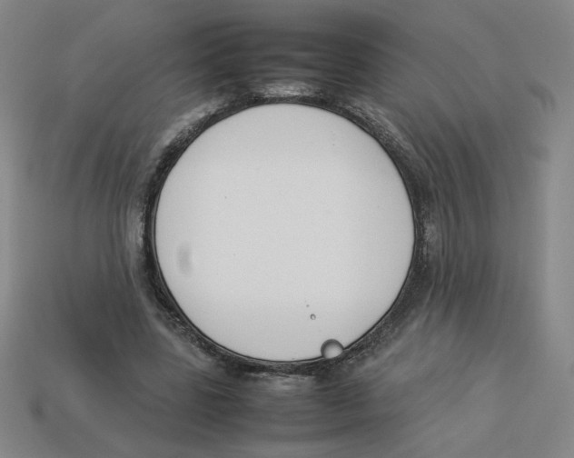 X0000113350539200910131241