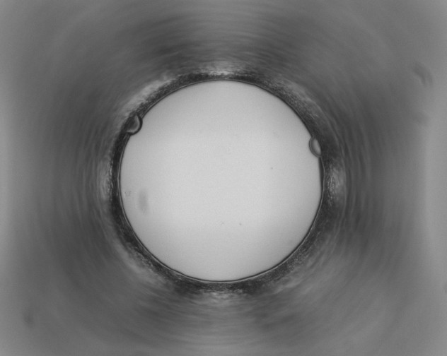 X0000113350540200910131241