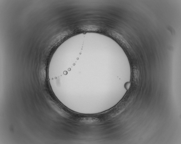 X0000113350541200910131241