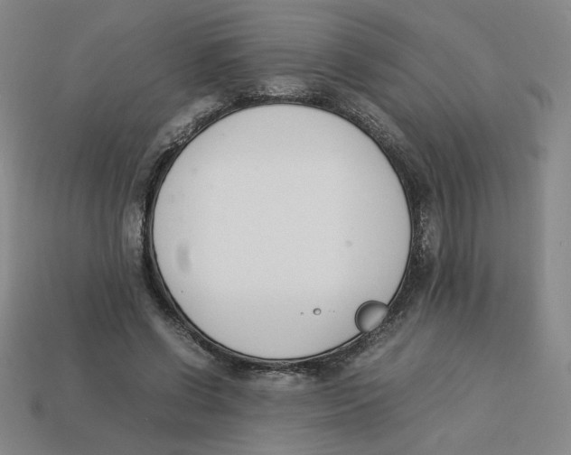 X0000113350542200910131241