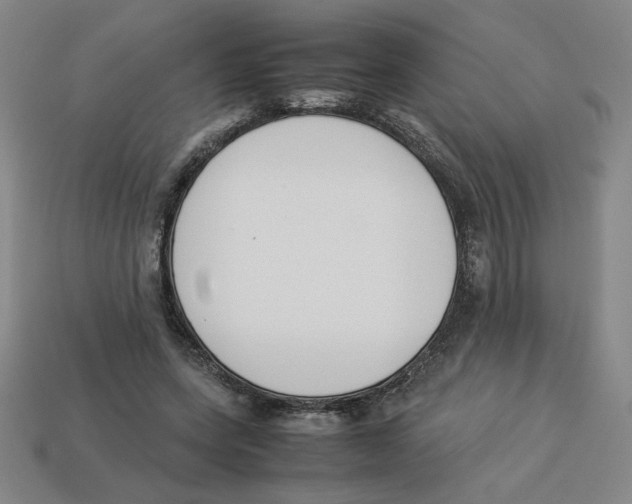 X0000113350543200910131241