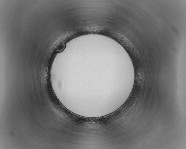 X0000113350544200910131241