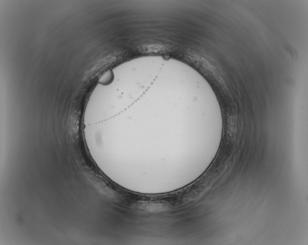 X0000113350545200910131241