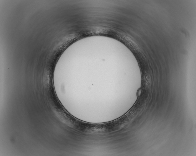 X0000113350546200910131242