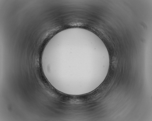 X0000113350547200910131242