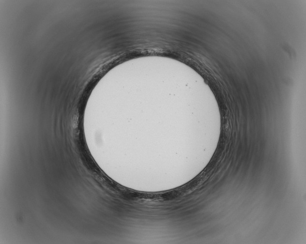 X0000113350548200910131242