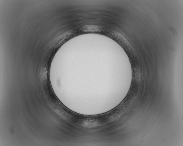 X0000113350549200910131242