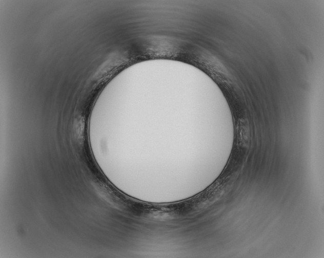 X0000113350550200910131242