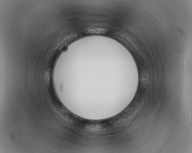 X0000113350551200910131242