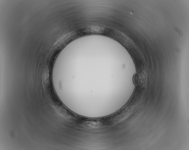 X0000113350552200910131242