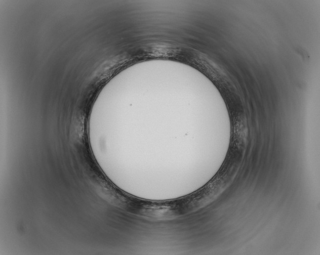 X0000113350554200910131242