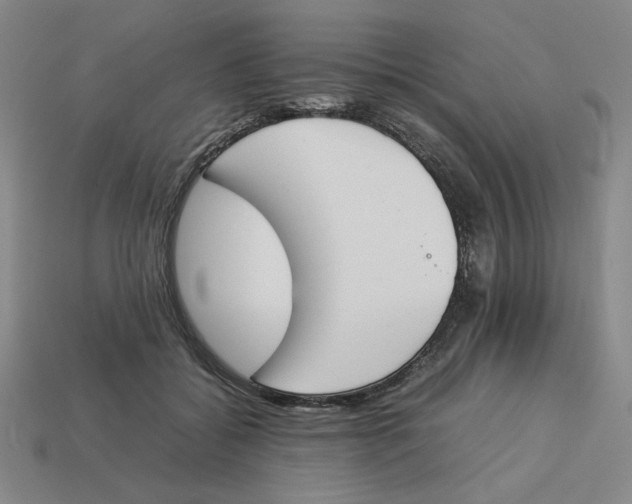 X0000113350556200910131242