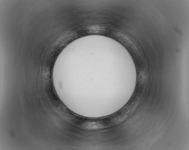 X0000113350557200910131242