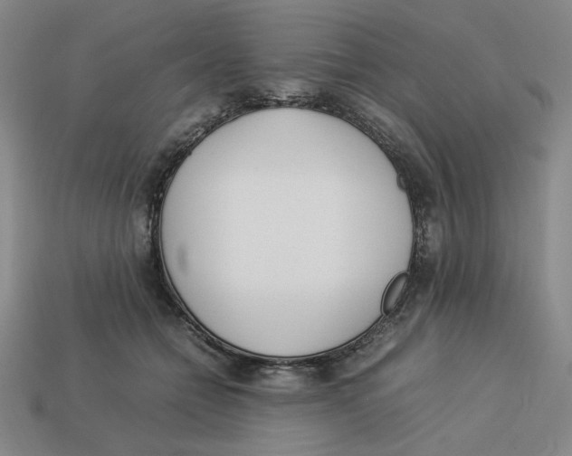 X0000113350558200910131242