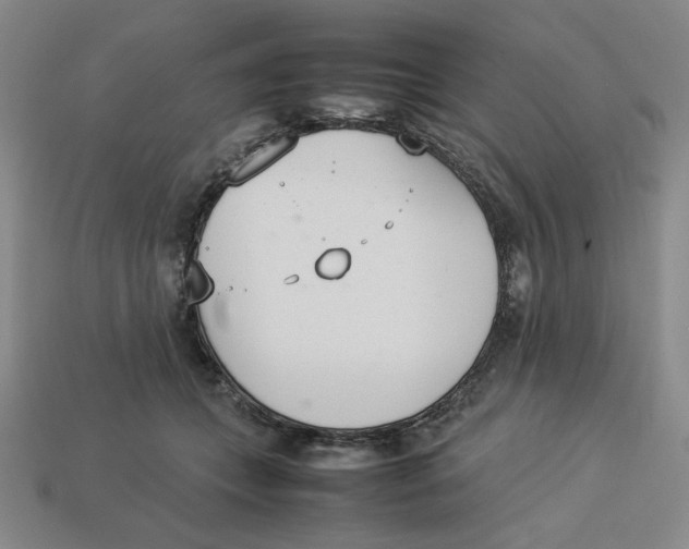 X0000113350559200910131242