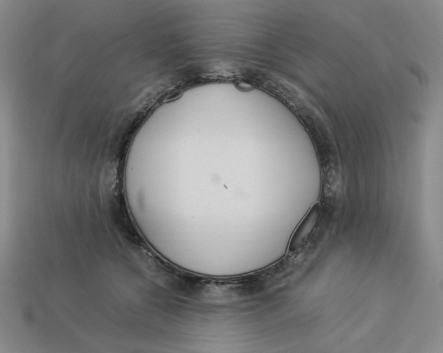 X0000113350560200910131242