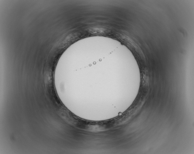 X0000113350561200910131242