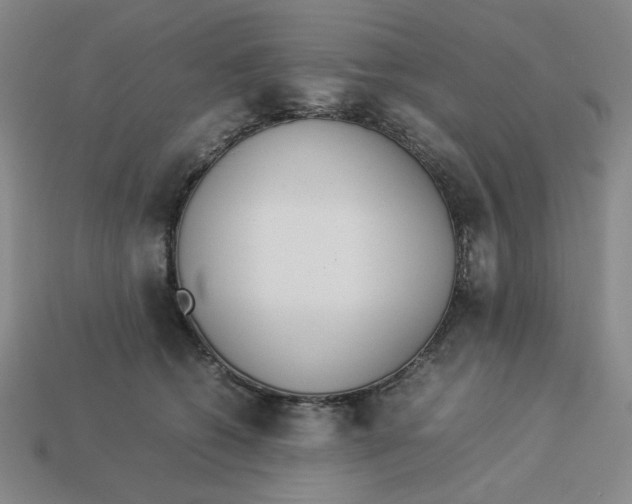 X0000113350562200910131242