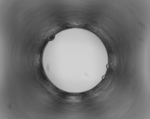 X0000113350563200910131242