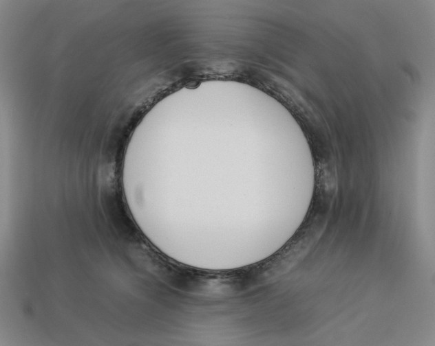 X0000113350564200910131242