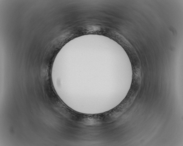 X0000113350565200910131242