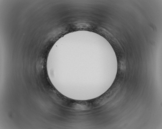 X0000113350567200910131242