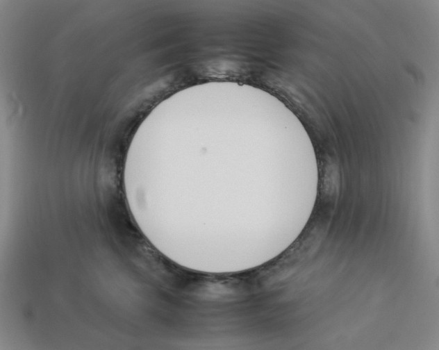 X0000113350569200910131242