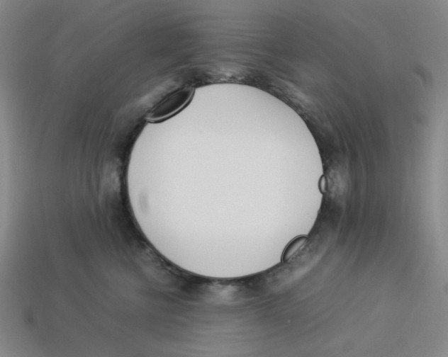 X0000113350570200910131242