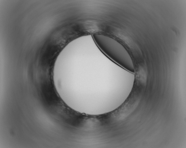 X0000113350572200910131242