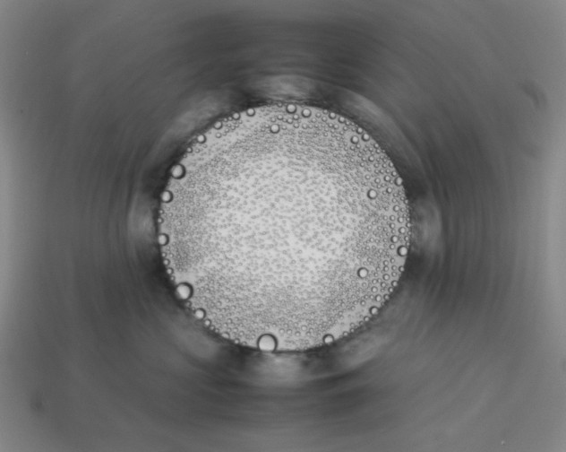 X0000113350573200910131242