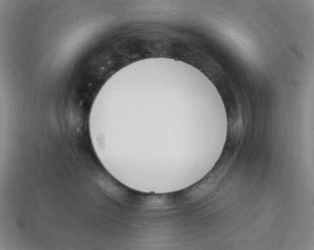 X0000113350574200910131242