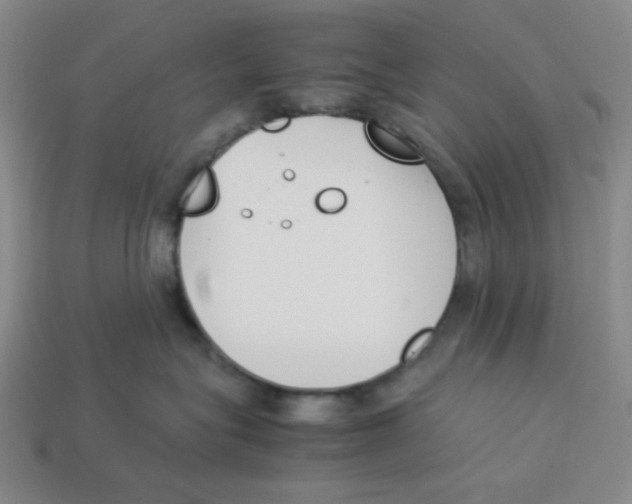 X0000113350575200910131242