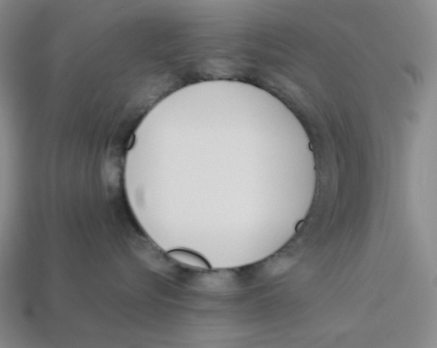 X0000113350576200910131242