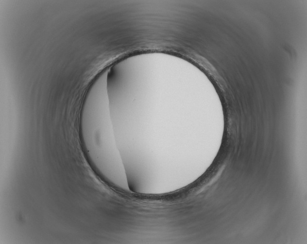 X0000113350577200910131241