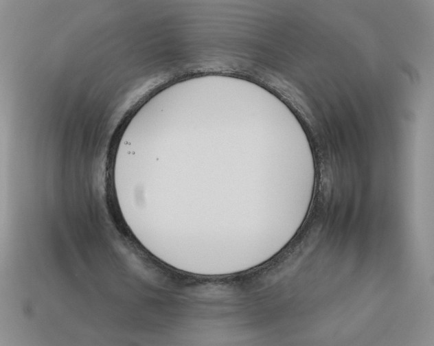 X0000113350578200910131241