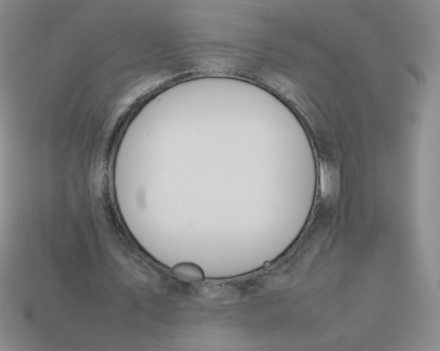 X0000113350579200910131241