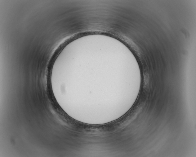 X0000113350580200910131241