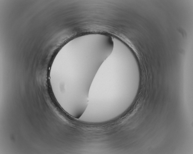 X0000113350581200910131241