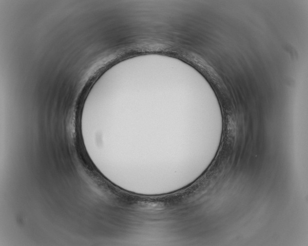 X0000113350582200910131241