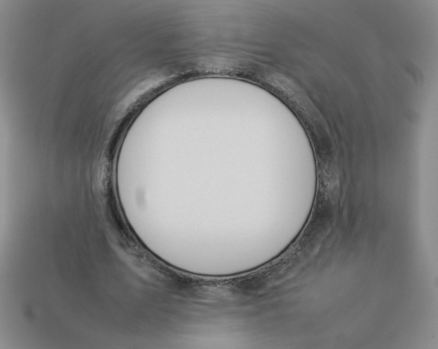 X0000113350583200910131241